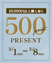 10,000円以上購入毎に500ポイントプレゼント！