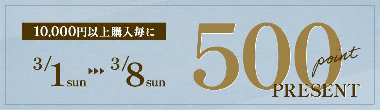 10,000円以上購入毎に500ポイントプレゼント！